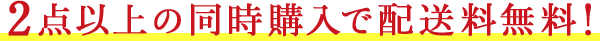 2点以上の同時購入で配送料無料!