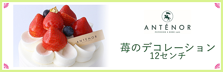 qAem[r䕂̃fR[ViPQZ`j