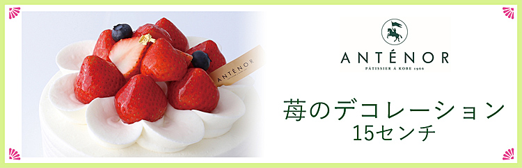 qAem[r䕂̃fR[ViPTZ`j