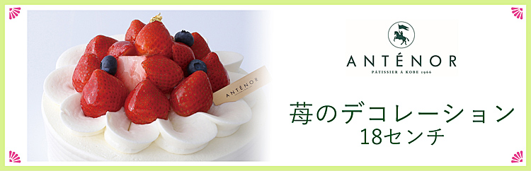 qAem[r䕂̃fR[ViPWZ`j