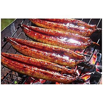 〈四万十食品〉うなぎ蒲焼長焼