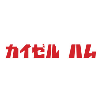 〈カイゼルハム〉湘南藤沢工房ハム詰合せ