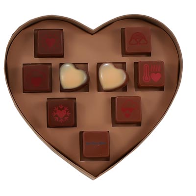 〈ジャン=ポール・エヴァン〉ボンボン ショコラ 9個 レフェパピヨン