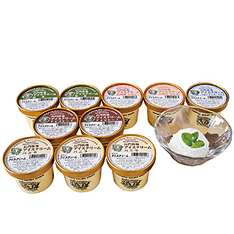 〈長門牧場〉アイスクリーム10個セット