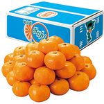 qËvlYr݂ilEkTCYwsj