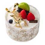 �R�D�q�_�����C���r�m�G���@�V�����{�[��