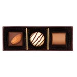 �q���C�X�_�[���r�A���W�F�R����