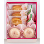 �q�@�ƌ��g�����r��̓��l�����g�g�|�Q�O