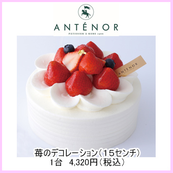 Aem[@䕂̃fR[VPT