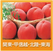�֓��E�b�M�z�E�k���E���C